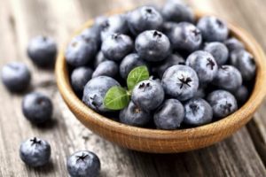 Hvordan du kan dyrke blåbær derhjemme og hvordan du kan bruge dem