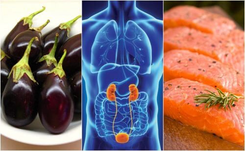 7 fødevarer der naturligt hjælper med at fremme sunde nyrer