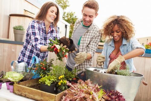 Personer der planter