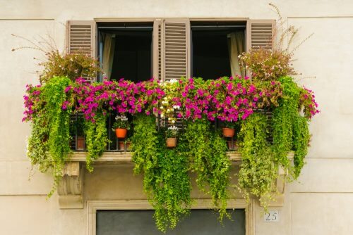 Planter paa balkonen