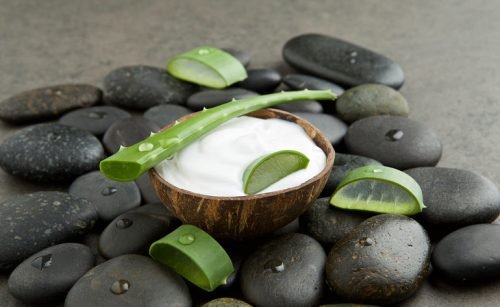 Kokosmaelk og aloe vera creme