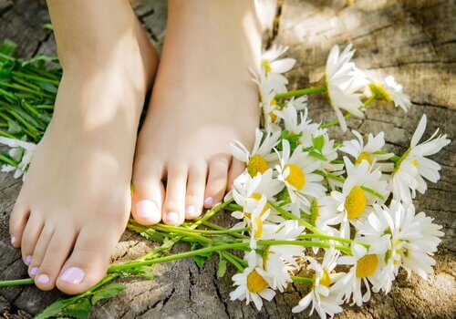 Foedder og kamille - kamille kan hjaelpe dig