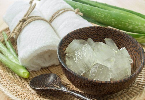 Aloe vera