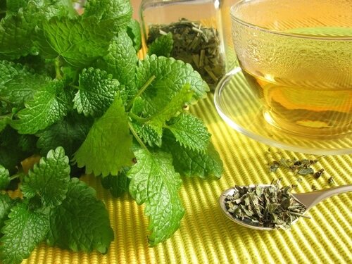 Citronmelissete