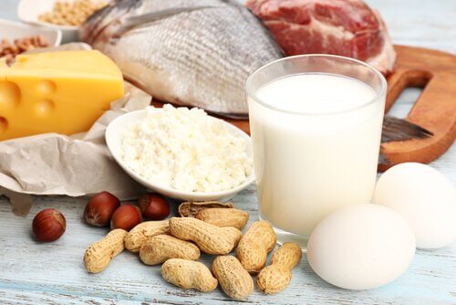 Protein efter træning