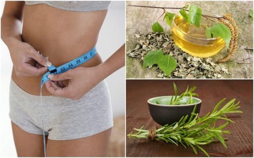 8 sunde urter der vil hjælpe på din vægtstabsdiæt