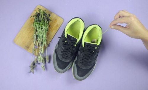 Lavendel mod ildelugtende sko