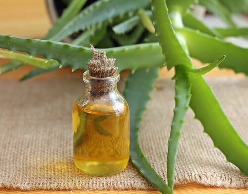 Aloe vera og argan olie behandling - definerede kroeller