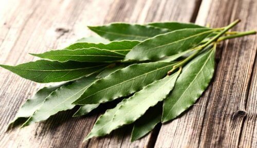 Eucalyptus, en stor hjælp
