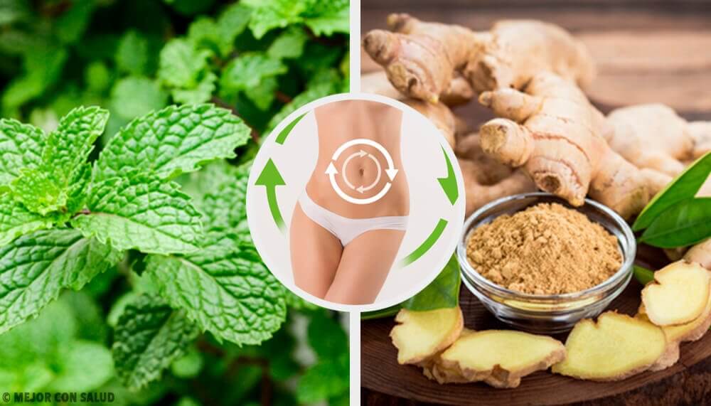 Ingefaer og mynte - teer til en sund krop
