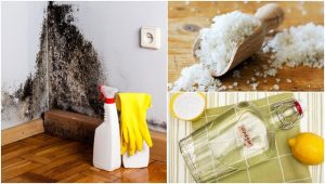 5 effektive måder at fjerne fugt i dit hjem