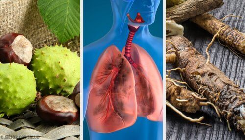 4 hjemmelavede midler til at styrke dine lunger