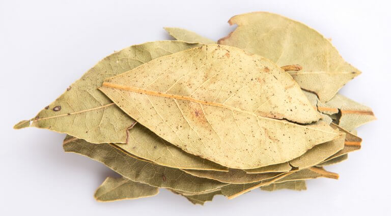 Laurbaerblade - styrke dine lunger