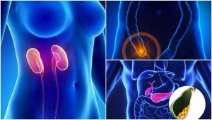 7 organer du ikke behøver for at overleve