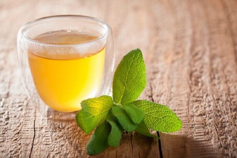 Te med citronmelisse