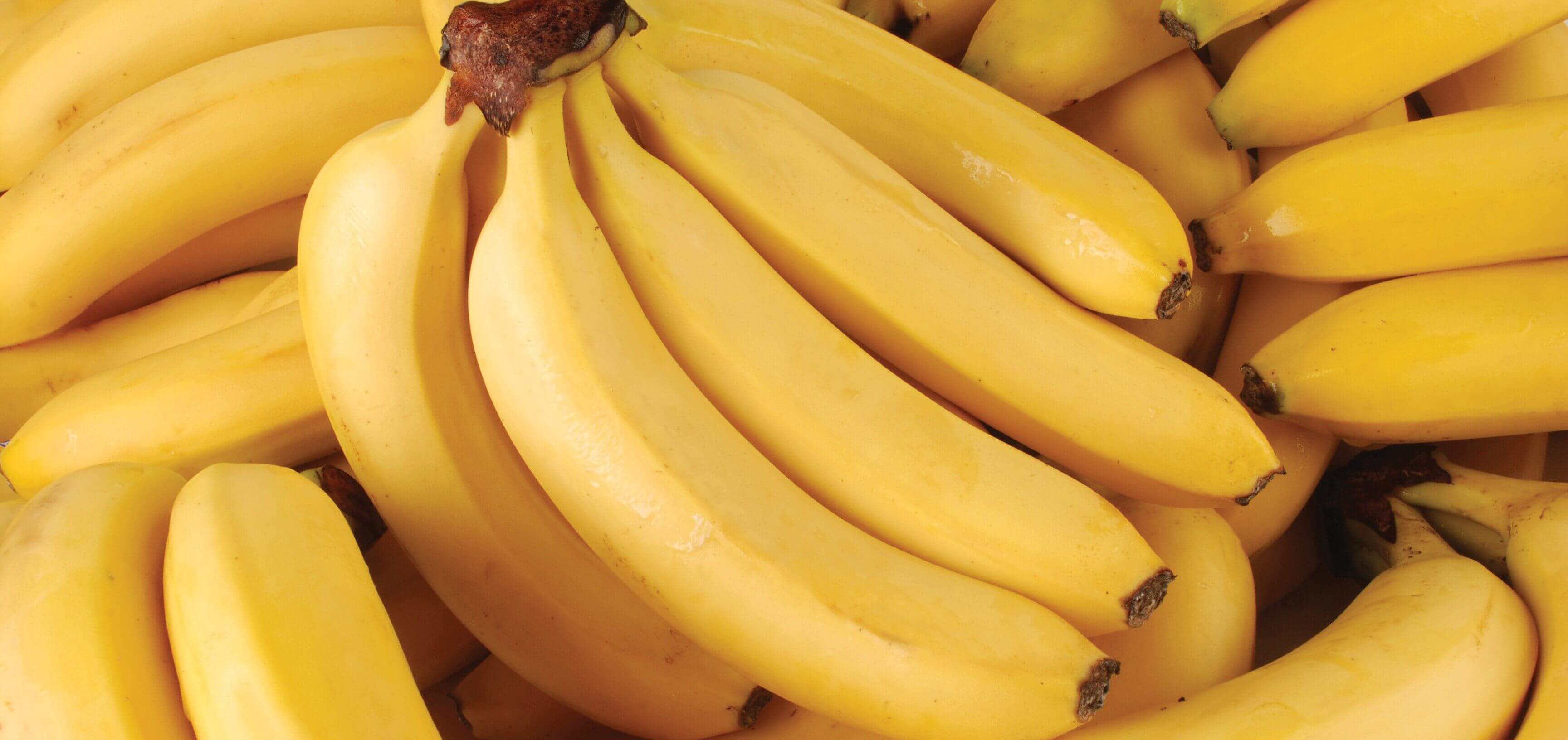 Gule bananer