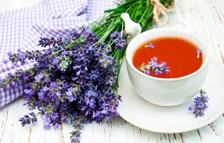 Lavendel