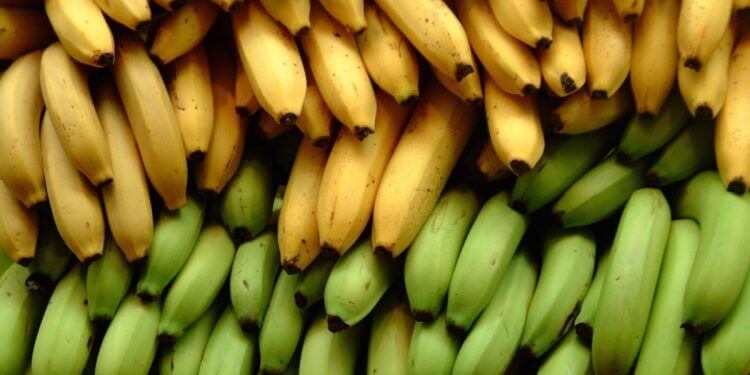 Tre ernæringsmæssige forskelle mellem bananer og madbananer