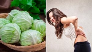 Naturmiddel med ler, eddike og kål til at reducere brok