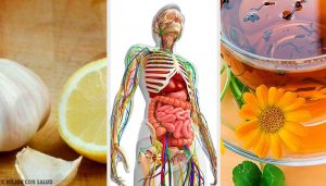 6 naturlige midler til at afgifte lymfesystemet