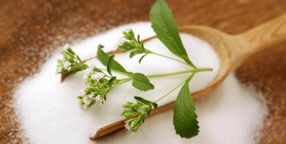 Stevia