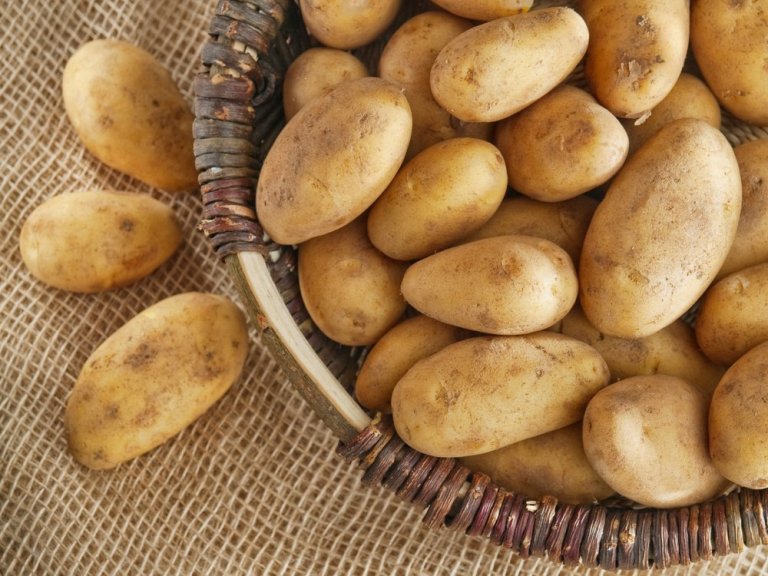 Kartofler - behandling af haemorider