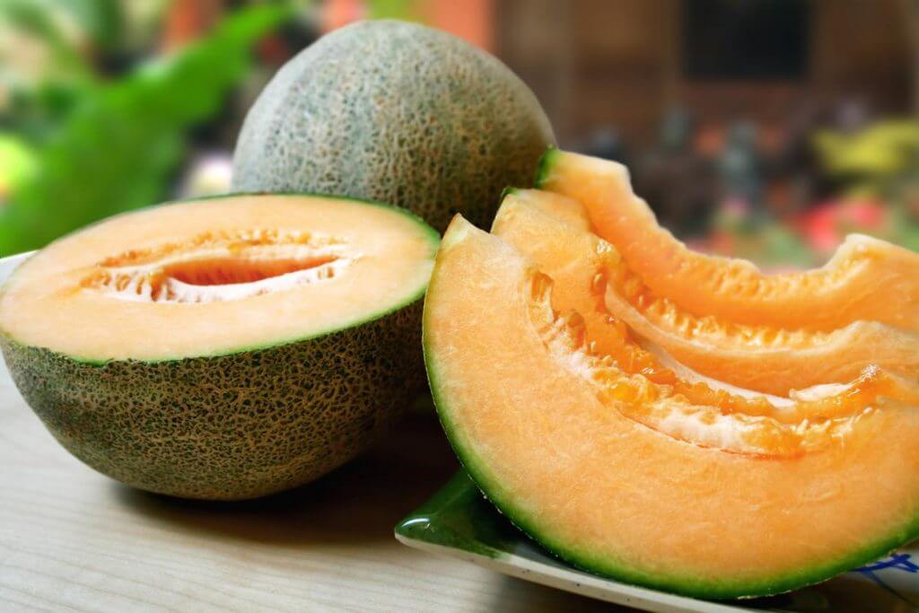 Net melon