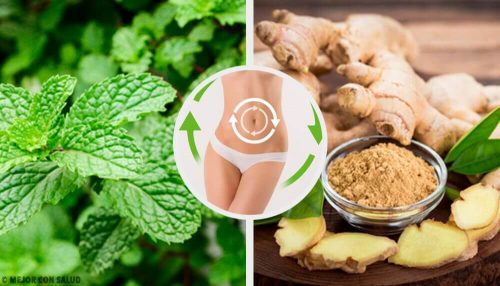 Mynte- og ingefærsdrik, der aktiverer dit stofskifte