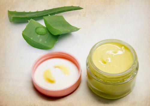 Aloe vera