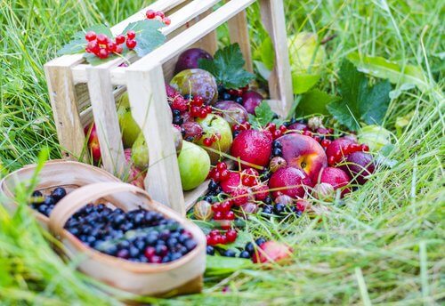 Bær er vitaminholdige, smager godt og er gode for produktionen af kollagen.