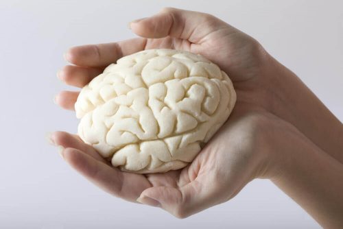 En hjerne der styrkes af de bedste hukommelses øvelser