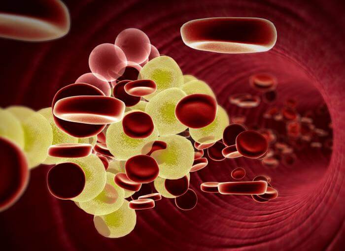 Kolesterol og roede blodceller