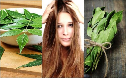 Kvinde der holder paa sit haar