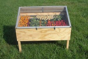 Sådan laver du din egen dehydrator