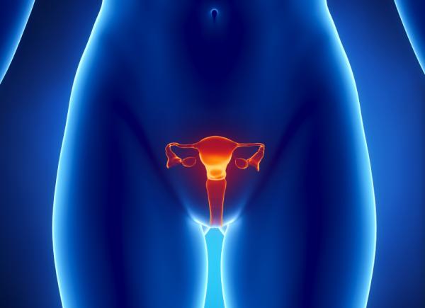 Menstruationen.