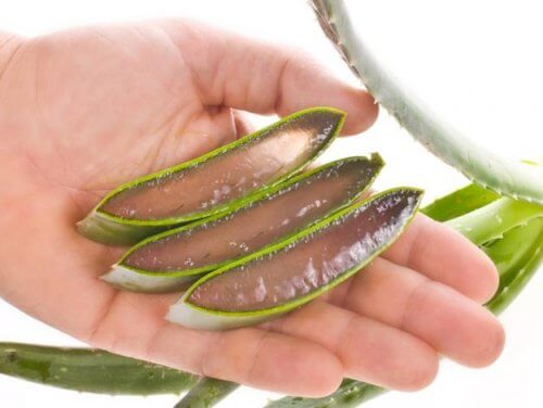 Aloe vera har enormt mange gavnlige virkninger på huden. Derfor er det et fantastisk produkt til at holde din hud fugtig.