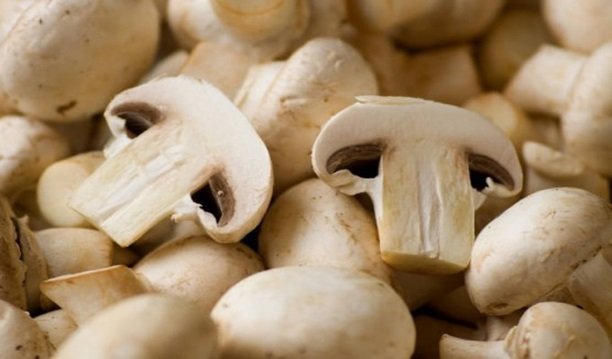 champignon