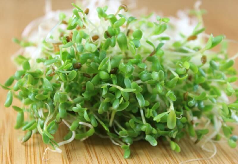 lucerne og citronte