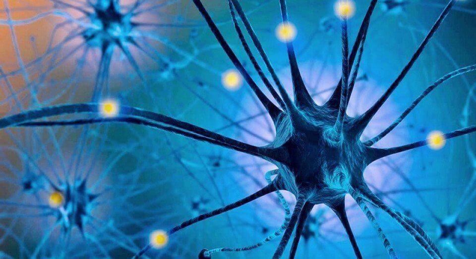 tryptofan omdannes til serotonin