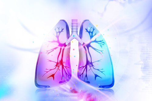 Prøv disse naturlige midler til at detoxe dine lunger