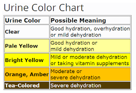 Oversigt over urins farve