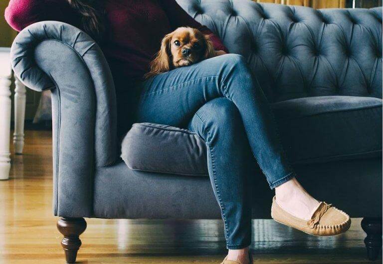 Kvinde og hund i sofa