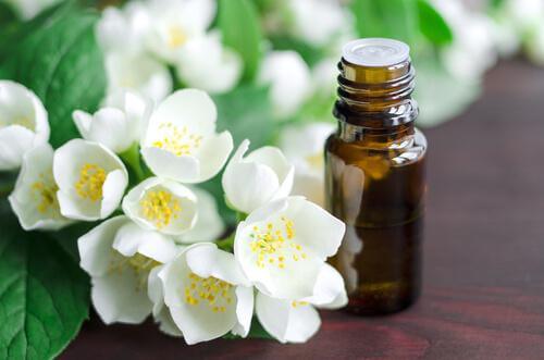 Jasmin og olivenolie til at glatte dit hår