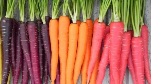 De fantastiske sundhedsmæssige fordele ved gulerødder
