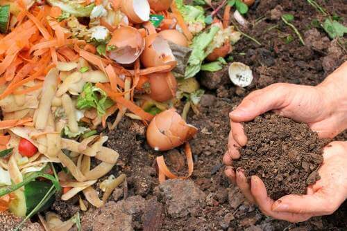 Fem måder at lave naturlig kompost til dine planter på