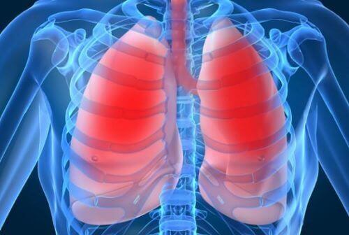 10 tegn der indikerer dine lunger ikke har det godt