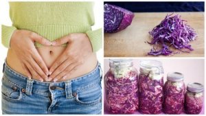 Hvordan lilla sauerkraut kan styrke tarmfloraen