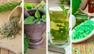 Hvad bør de bedste miljøvenlige shampooer indeholde?