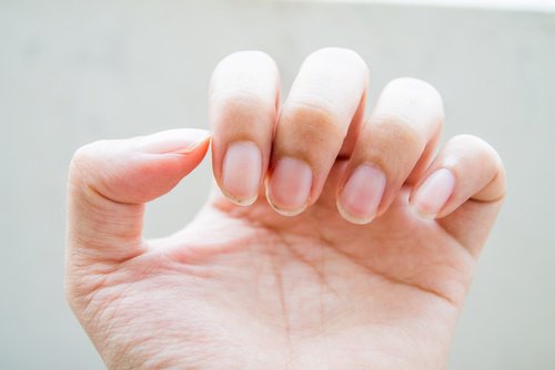 Fingernegle