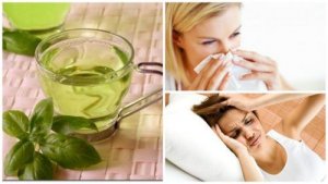 8 fordele ved at drikke basilikum-te hver dag